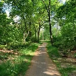 Bosparel Harderwijk * Ermelo