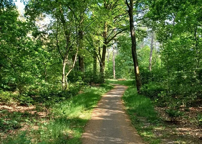 Bosparel Harderwijk * Ermelo